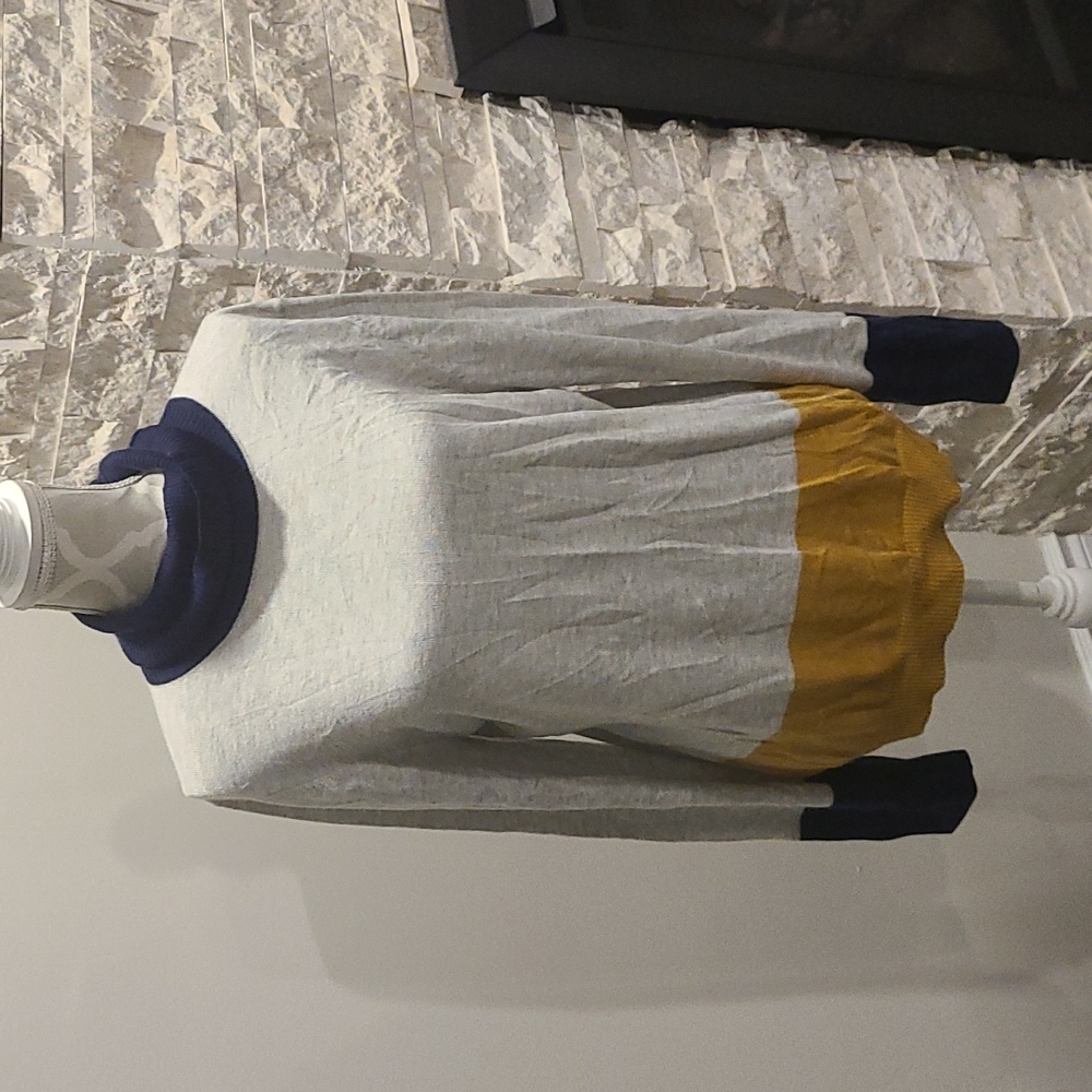 Jeanne Pierre Cashmere infused turtle neck
